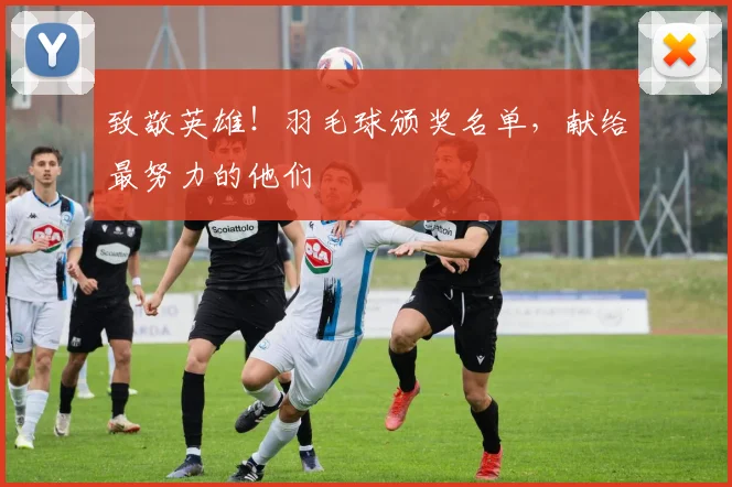 致敬英雄！羽毛球颁奖名单，献给最努力的他们