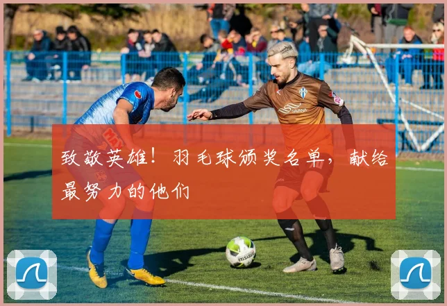 致敬英雄!羽毛球颁奖名单,献给最努力的他们